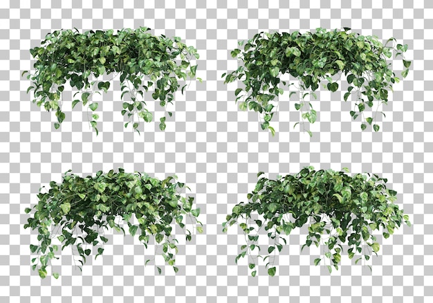 PSD representación 3d de epipremnum aureum