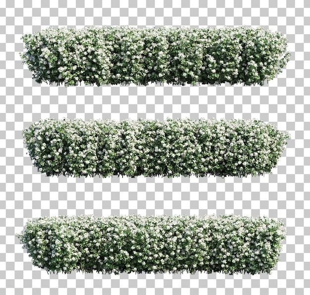 Representación 3D de euphorbia milii