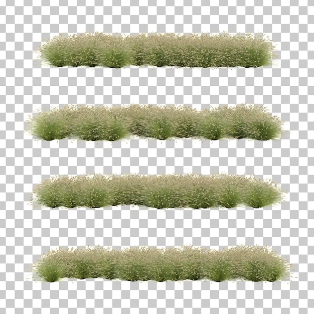 PSD representación 3d de feathertop grass