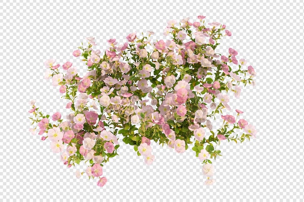 Representación 3d de flores aisladas