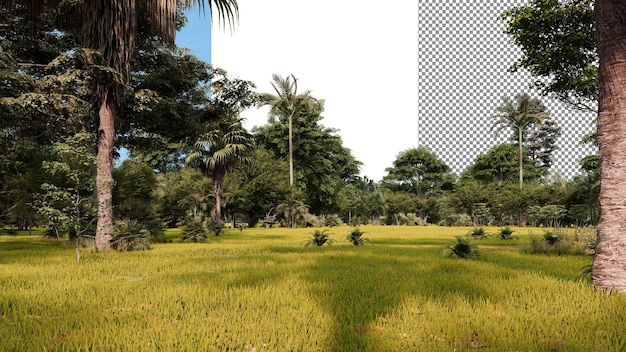 PSD representación 3d de fondo transparente de bosque tropical