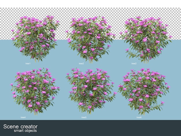 PSD representación 3d de hermosas plantas en varios ángulos aislados