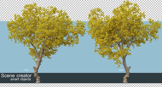 Representación 3d de hermosos árboles en varios ángulos aislados