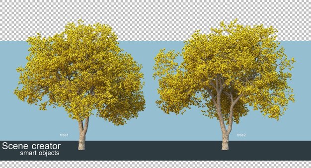 Representación 3D de hermosos árboles en varios ángulos aislados
