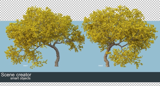 Representación 3D de hermosos árboles en varios ángulos aislados