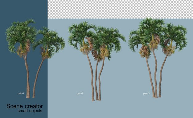 Representación 3D de hermosos árboles en varios ángulos aislados