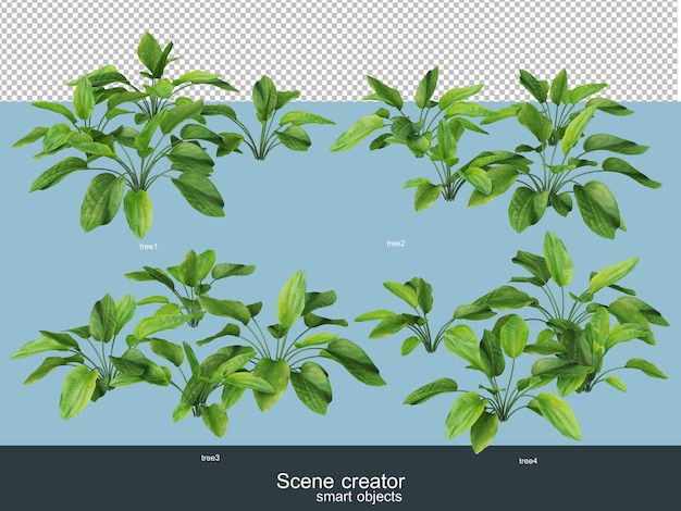 Representación 3d de hermosos árboles en varios ángulos aislados