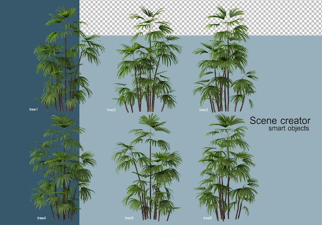 Representación 3D de hermosos árboles en varios ángulos aislados