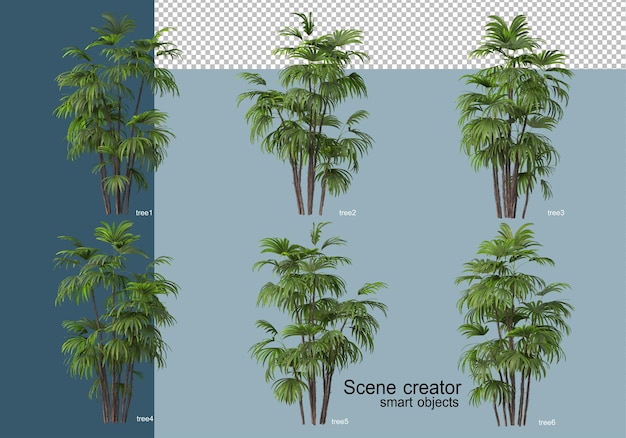 Representación 3D de hermosos árboles en varios ángulos aislados