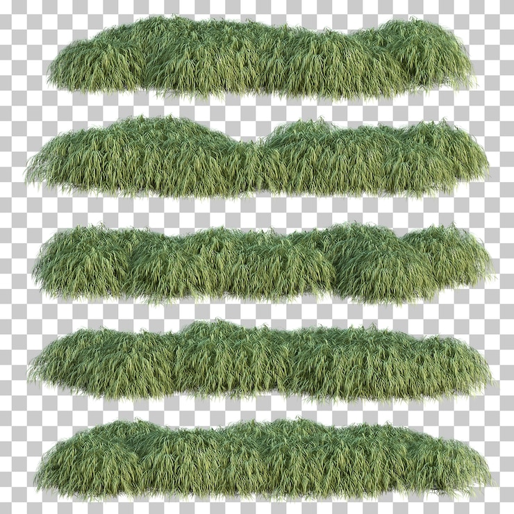 PSD representación 3d de la hierba del bosque japonés
