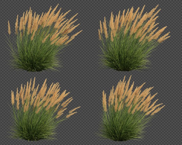 Representación 3d del juego de golpes silver spike grass