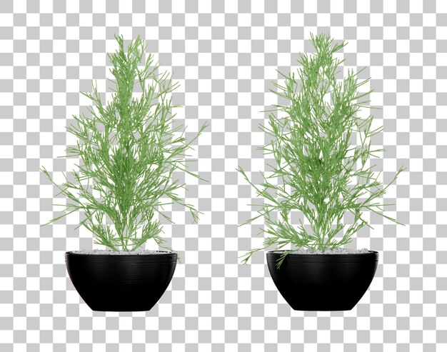 Representación 3d de maceta de planta tropical isométrica