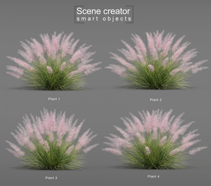 PSD representación 3d de pink flamingo muhly grass