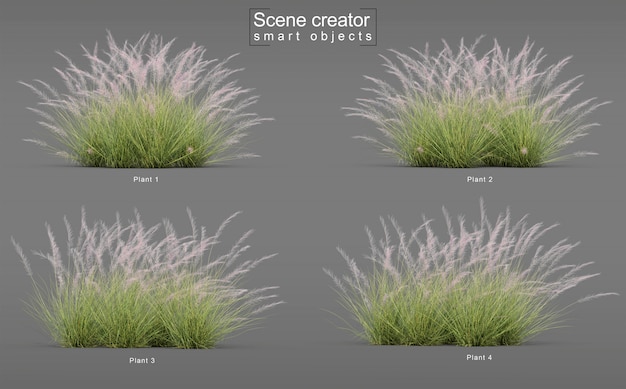 Representación 3d de pink flamingo muhly grass