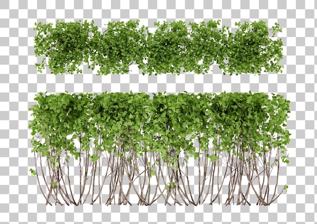 Representación 3d de planta de arbusto isométrica
