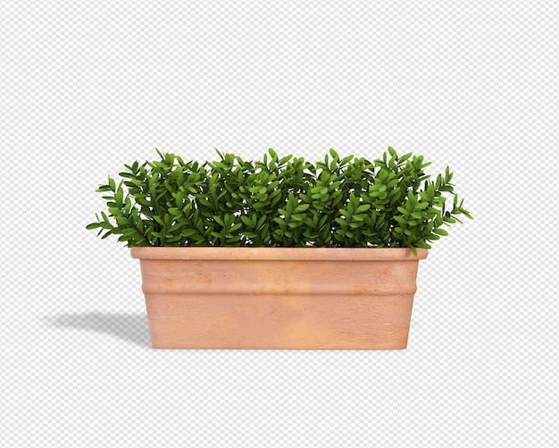 Representación 3d de planta