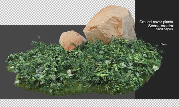 Representación 3D de plantas de cobertura y rocas grandes