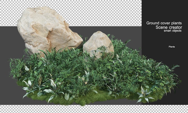 Representación 3D de plantas de cobertura y rocas grandes