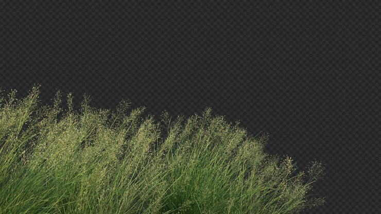 PSD representación 3d de primer plano de hierba de arroz indio