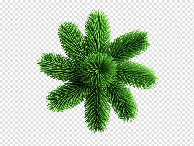 PSD representación 3d ramas de abeto moderno colección de imágenes prediseñadas de coníferas de estrellas elementos de árbol de navidad aislados sobre fondo blanco