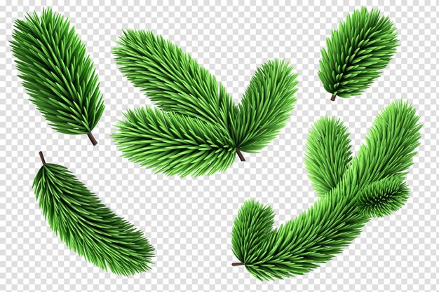 Representación 3d Ramitas de abeto moderno conjunto colección de imágenes prediseñadas de coníferas elementos de árbol de Navidad aislados sobre fondo blanco