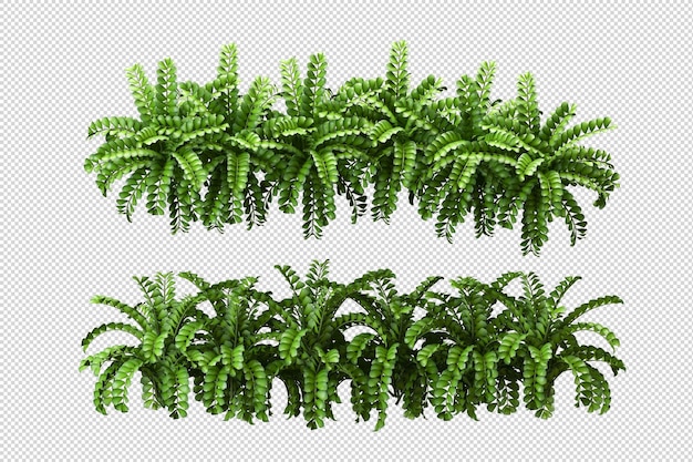 Representación 3D de la representación del paisaje natural.