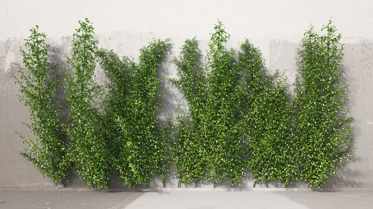 PSD la representación 3d del trepador de jazmín estrella en la pared incluye la capa de pared, la capa de árbol y la capa de sombra
