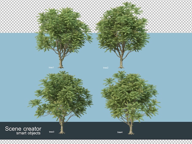 Representación 3D de varias especies de árboles.