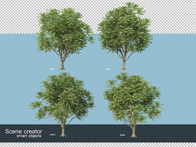 Representación 3d de varias especies de árboles.