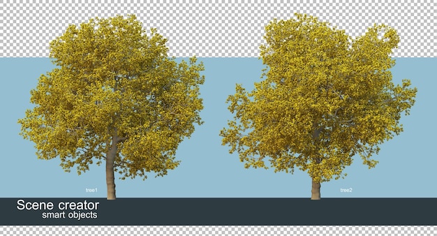Representación 3D de varias formas y tipos de árboles
