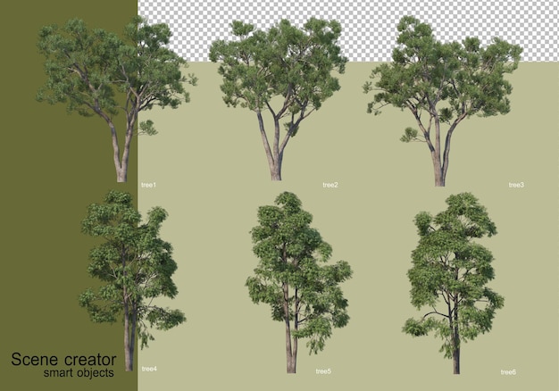 Representación 3D de varios árboles aislados