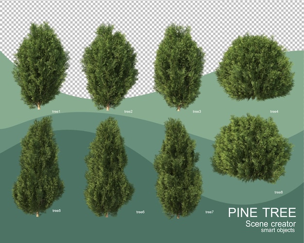 Representación 3D de varios arreglos de pino