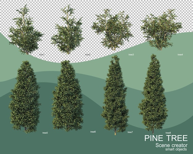 Representación 3D de varios arreglos de pino