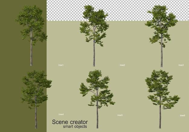 Representación 3D de varios diseños de árboles aislados