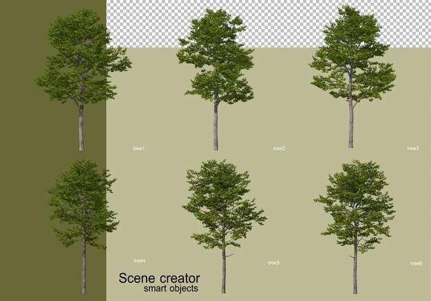 Representación 3d de varios diseños de árboles aislados