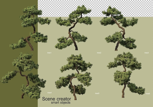 Representación 3d de varios diseños de árboles