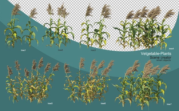 Representación 3d de varios diseños vegetales