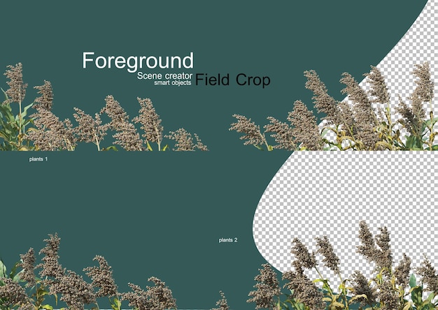 Representación 3d de varios tipos de agronomía