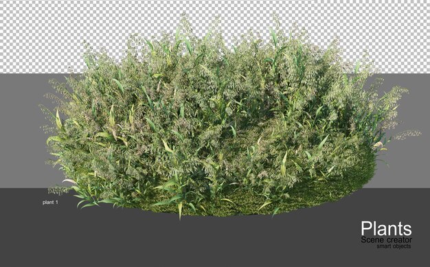 Representación 3D de varios tipos de agronomía