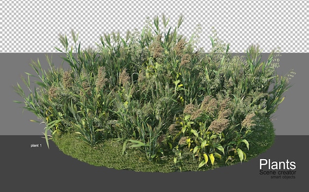 PSD representación 3d de varios tipos de agronomía