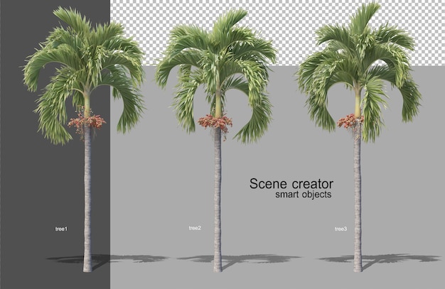 Representación 3D de varios tipos de árboles aislados