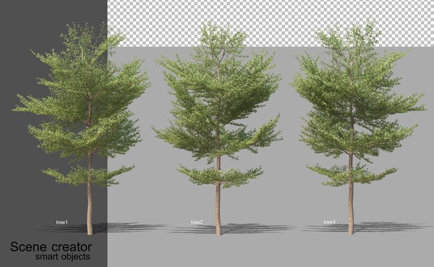 Representación 3D de varios tipos de árboles aislados