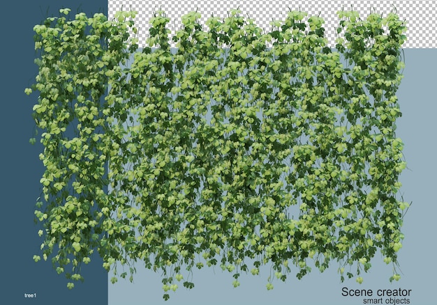 Representación 3D de varios tipos de árboles.