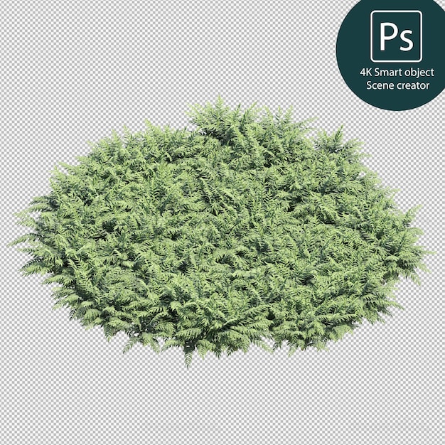 Representación 3D de varios tipos de arreglos de arbustos y setos.