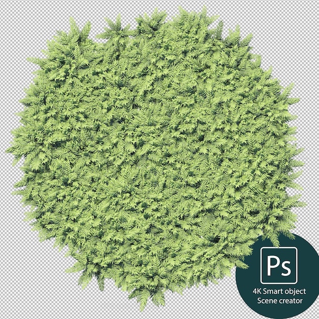 Representación 3D de varios tipos de arreglos de arbustos y setos.