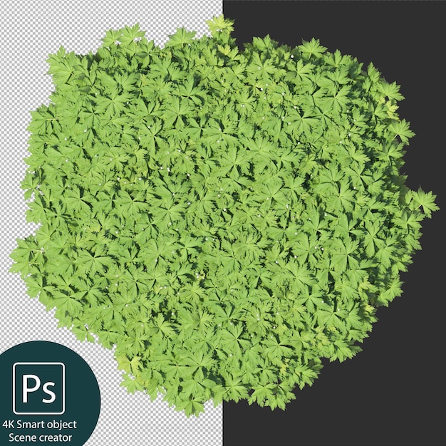 Representación 3D de varios tipos de arreglos de arbustos y setos.
