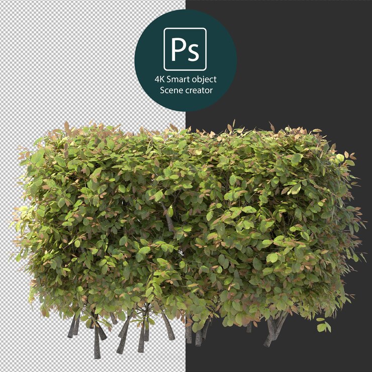 PSD representación 3d de varios tipos de arreglos de arbustos y setos.