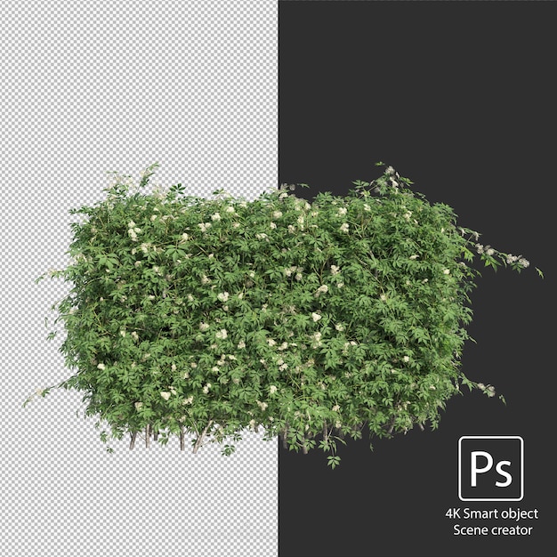 Representación 3D de varios tipos de arreglos de arbustos y setos.