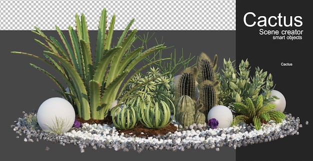 Representación 3d de varios tipos de arreglos de cactus.