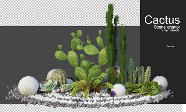 PSD representación 3d de varios tipos de arreglos de cactus.